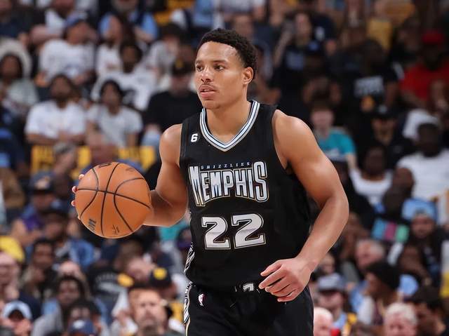 实质影响 实质影响