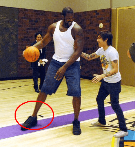 外线回应 外线回应