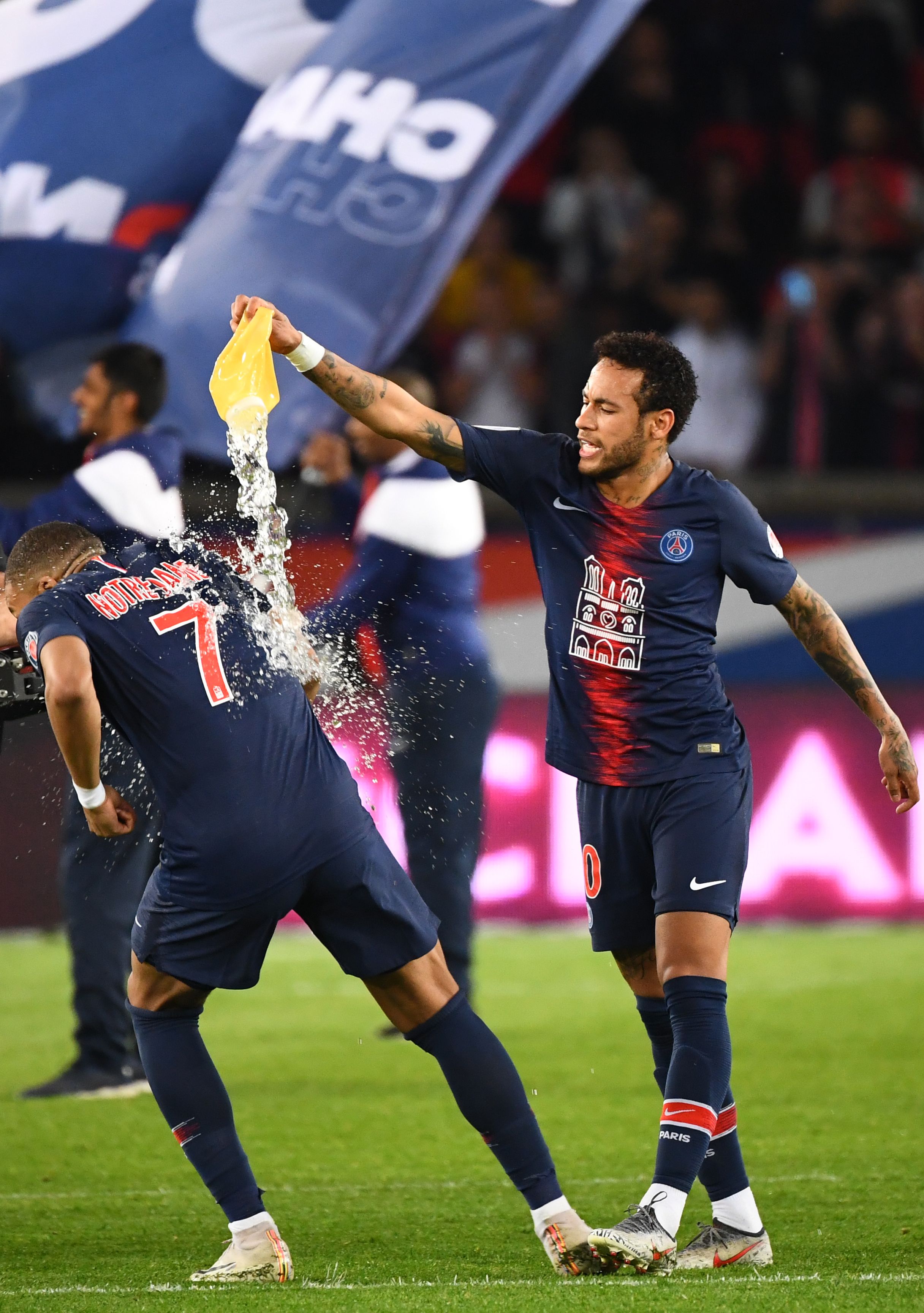 它赢回来 它赢回来